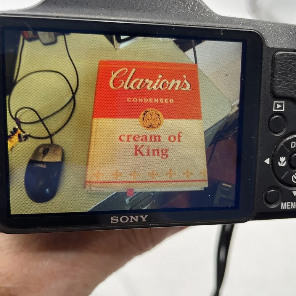 Sony Cyber-shot DSC-H20 Digital Camera 10.1MP+Battery+Charger+SD Card+Case*READ*